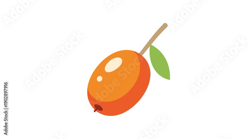 Vibrant cartoon illustration of a small orange fruit featuring a green leaf and stem on a clean