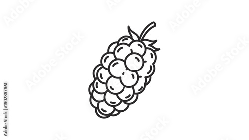 Minimalist black and white line art illustration of a fresh blackberry fruit perfect for various