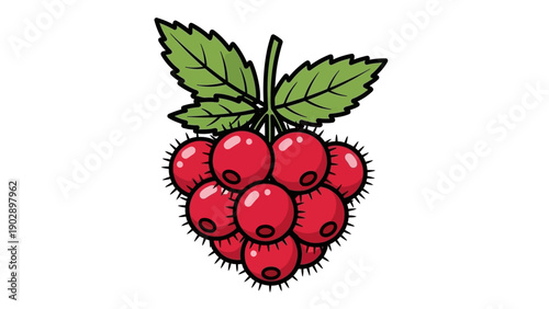 Vibrant cartoon style raspberry illustration with fresh green leaves isolated on a clean white