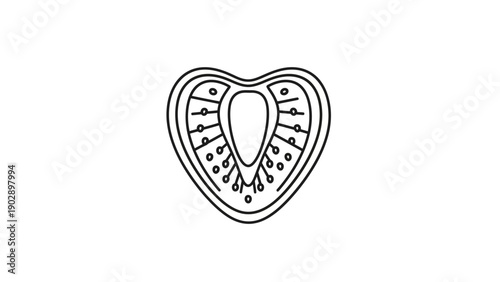 Minimalist black and white heart illustration with stylized internal design perfect for various