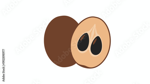 Flat vector illustration of a delicious sapodilla fruit whole and halved revealing its dark seeds