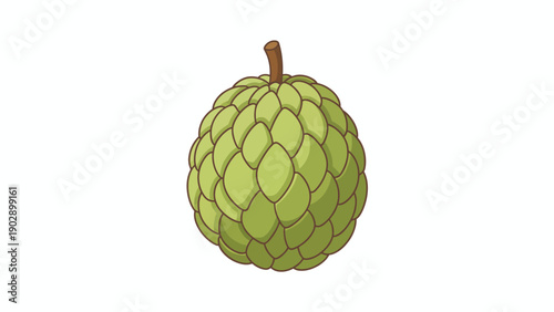 Illustration of a Fresh Green Custard Apple with Stem on White Background for Healthy Eating