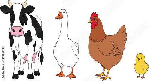 Farm animals set with Holstein cow, white goose, brown hen, and yellow chick isolated on white background for agriculture design.