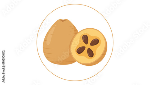 Sweet Sapodilla Fruit Illustration Showcasing Whole and Sliced Portions with Seeds