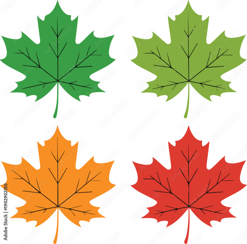 Fototapeta premium A simple illustration of four maple leaves arranged in a 2x2 grid against a white background.