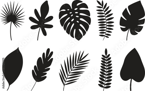 A collection of 12 tropical and exotic leaf silhouettes arranged in two rows against a white background.