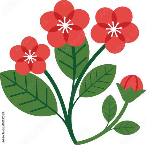 A simple vector illustration of a red flower plant with three fully bloomed flowers and one unopened bud.