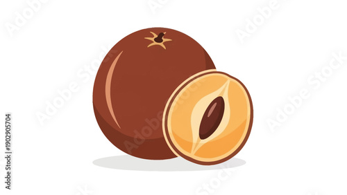 Vibrant Vector Illustration of Whole and Sliced Sapodilla Fruit Showcasing Pulp and Seed
