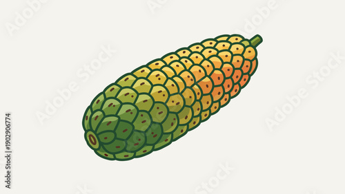 Vibrant cartoon illustration of a monstera deliciosa fruit showcasing its tropical charm