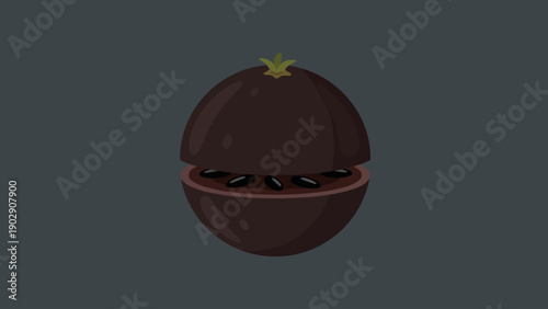 Stylized vector illustration of a dark exotic fruit cut open to reveal its internal seeds
