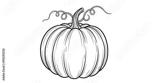 Black and White Outline of a Plump Pumpkin with Swirling Stems and Vines