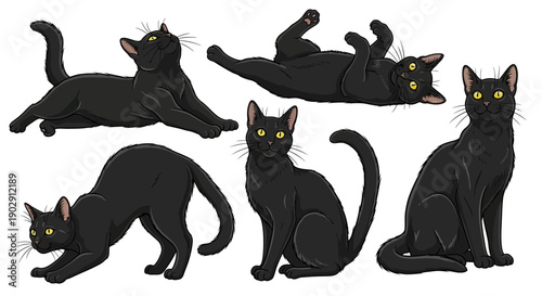 Collection of Black Cats Poses, Playful and Relaxed, Isolated on White Background