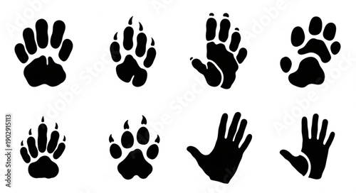 Collection of Animal Paw Prints and Hand Silhouettes.