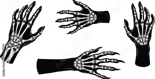 Skeleton hand illustration, human bone hand design, spooky skeleton arm vector, halloween anatomy drawing, black and white horror art