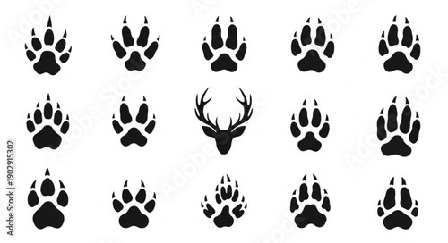Collection of Animal Paw Prints and Deer Antlers Silhouette Icons.