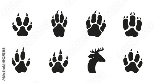 Collection of Animal Paw Prints and Deer Silhouette.