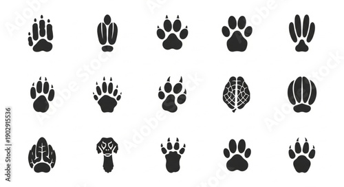Collection of Animal Paw Prints and Footprints Icons.