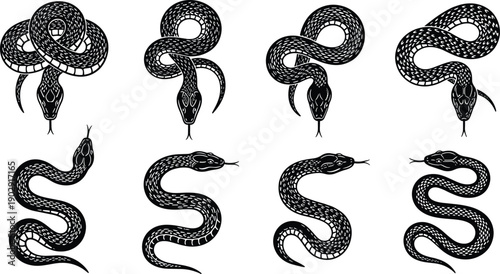 Snake silhouette illustration set showing coiled and crawling serpent poses, black and white vector artwork for wildlife design, tattoo art, logos, and symbolic graphics
