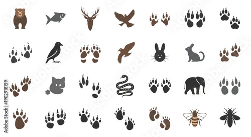 Collection of Animal Silhouettes and Paw Prints.