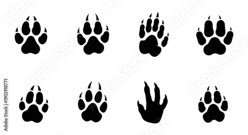 Collection of Animal Paw Prints Isolated on White Background.