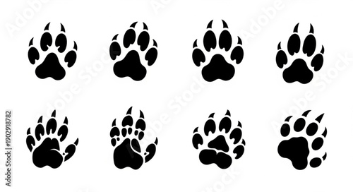 Collection of Animal Paw Prints Isolated on White Background.