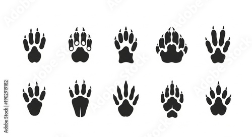 Collection of Animal Paw Prints Silhouettes Isolated on White Background.