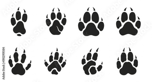 Collection of Animal Paw Prints Vector Illustrations.