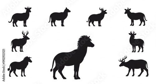 Collection of Animal Silhouettes on White Background.