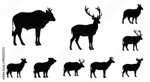 Collection of Animal Silhouettes on White Background.