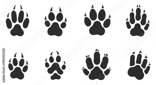 Collection of black animal paw prints on white background.