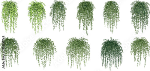 Collection of hanging greenery plants with cascading leaves botanical foliage decoration set for interior design natural wall decor and garden illustration