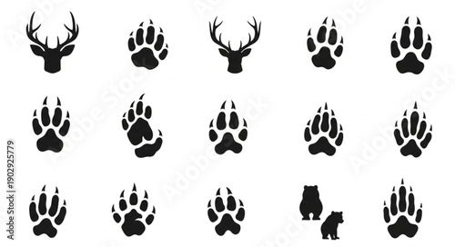 Collection of Animal Tracks and Deer Silhouettes.