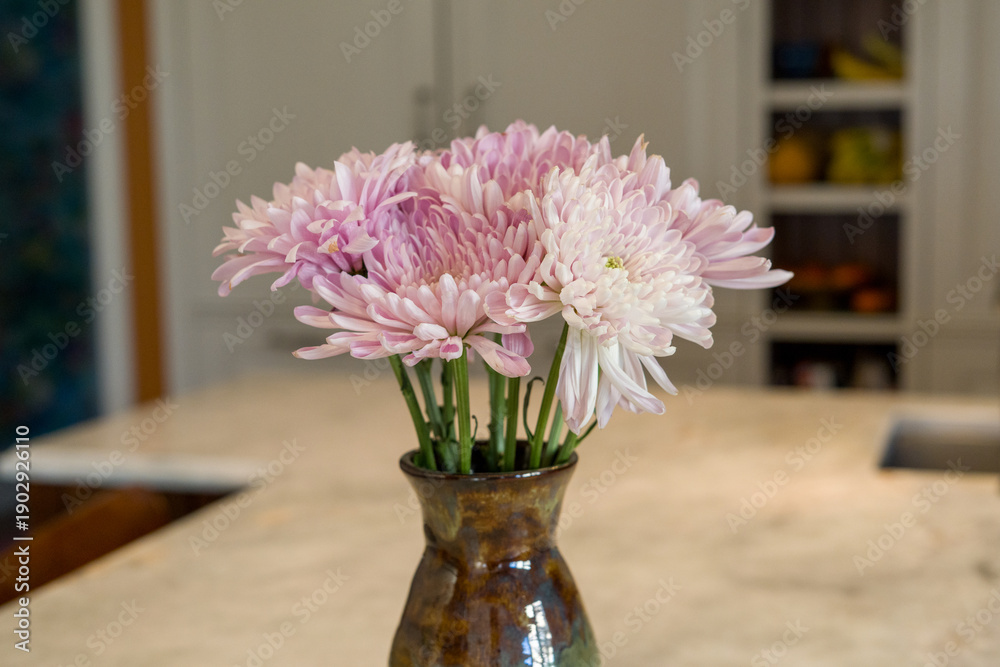 Fototapeta premium Pink chrysanthemums in ceramic vase on kitchen counter
