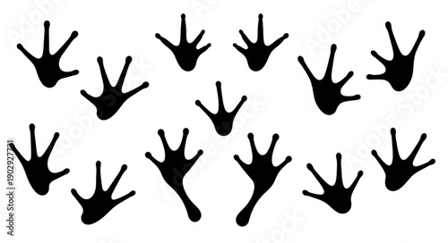Collection of black frog footprints on a white background.