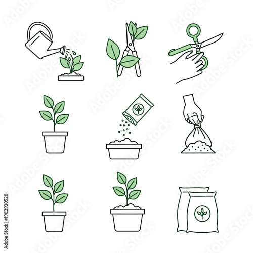 Gardening Icons Showing Plant Care Steps.
