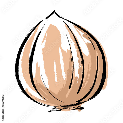 筆タッチの玉ねぎ素材