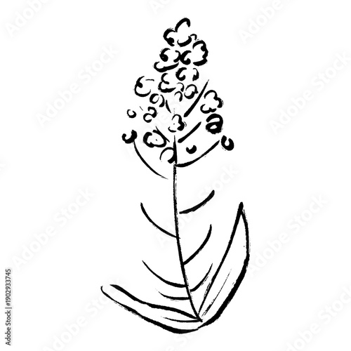 手描きの菜の花アイコン