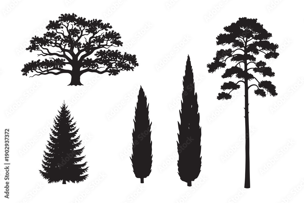 Fototapeta premium Pine, Cypress, Oak, and Spruce tree silhouette set. Detailed conifer and forest plant symbols. Architecture landscape vector collection.