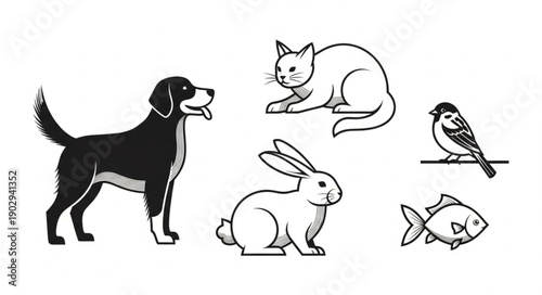 Collection of Hand Drawn Animals Including Dog Cat Rabbit Bird Fish.