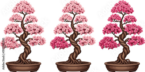 Blooming bonsai tree set with pink cherry blossoms in ceramic pots, elegant botanical vector illustration for zen decor and garden design projects