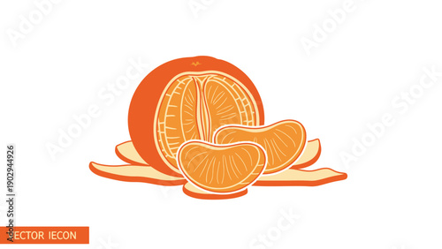 Vibrant vector illustration of a peeled mandarin orange with segments and zest on a white background