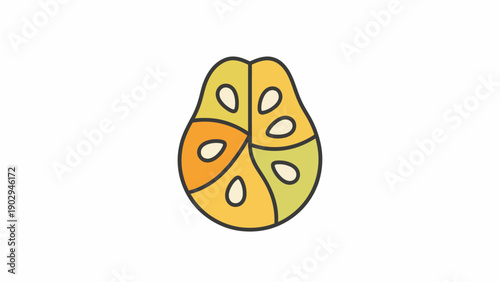 Minimalist stylized bael fruit half showing colorful pulp and seeds a fresh iconic vector on white