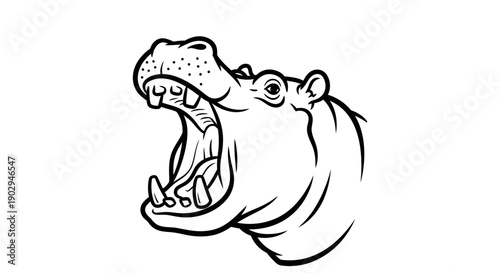 Black and white line art drawing of a hippopotamus head with its mouth wide open, showing its large teeth.