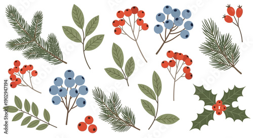 A collection of festive winter botanical elements including pine branches, holly leaves, red berries, and blue berries.