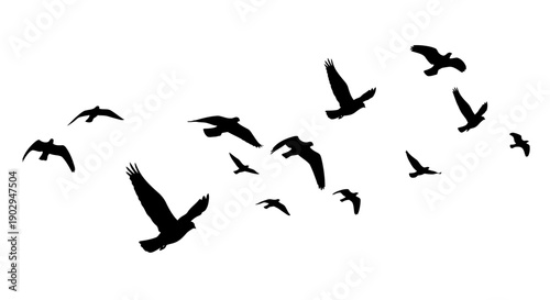 Silhouettes of a flock of birds flying freely across a clear sky, symbolizing freedom and migration against a white background.