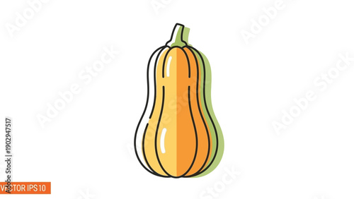 Minimalist flat design illustration of a vibrant orange and green butternut squash vegetable
