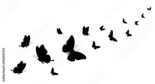 A flock of black butterflies in various sizes flying upwards and to the right on a clean white background, creating a dynamic and elegant pattern.