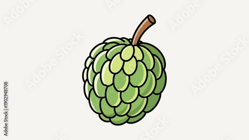 Green custard apple fruit simple cartoon vector illustration of a healthy tropical sweet snack