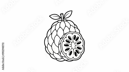 Black and white line art illustration of a whole and sliced custard apple fruit on a clean