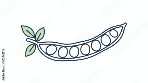 Minimalist outline illustration of a fresh pea pod with peas and leaves healthy organic vegetable